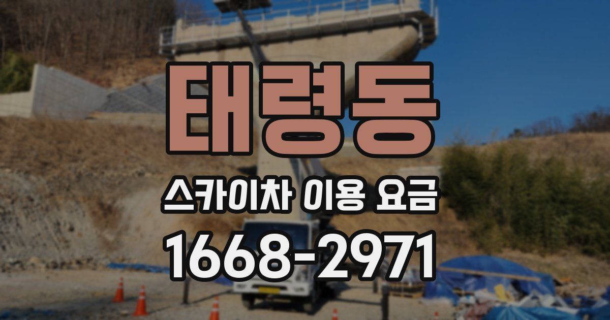 태령동 스카이차 이용 요금