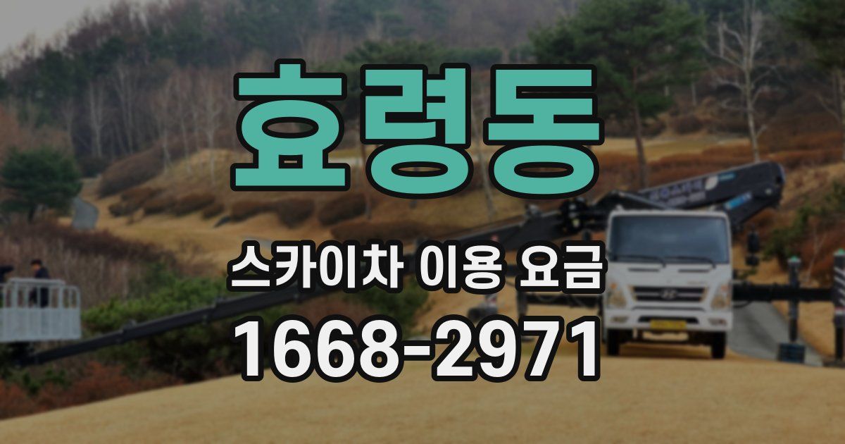 효령동 스카이차 이용 요금