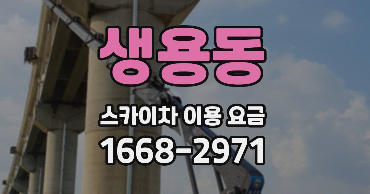 생용동 스카이차 이용 요금