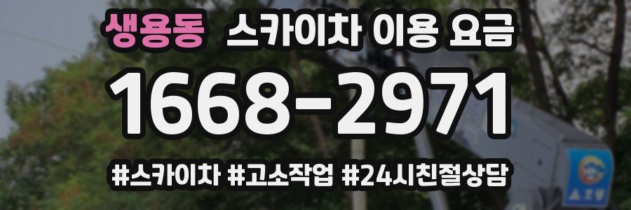 생용동 스카이차 이용 요금