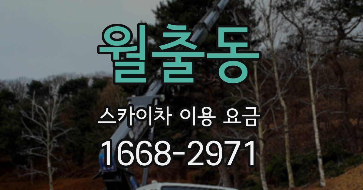 월출동 스카이차 이용 요금