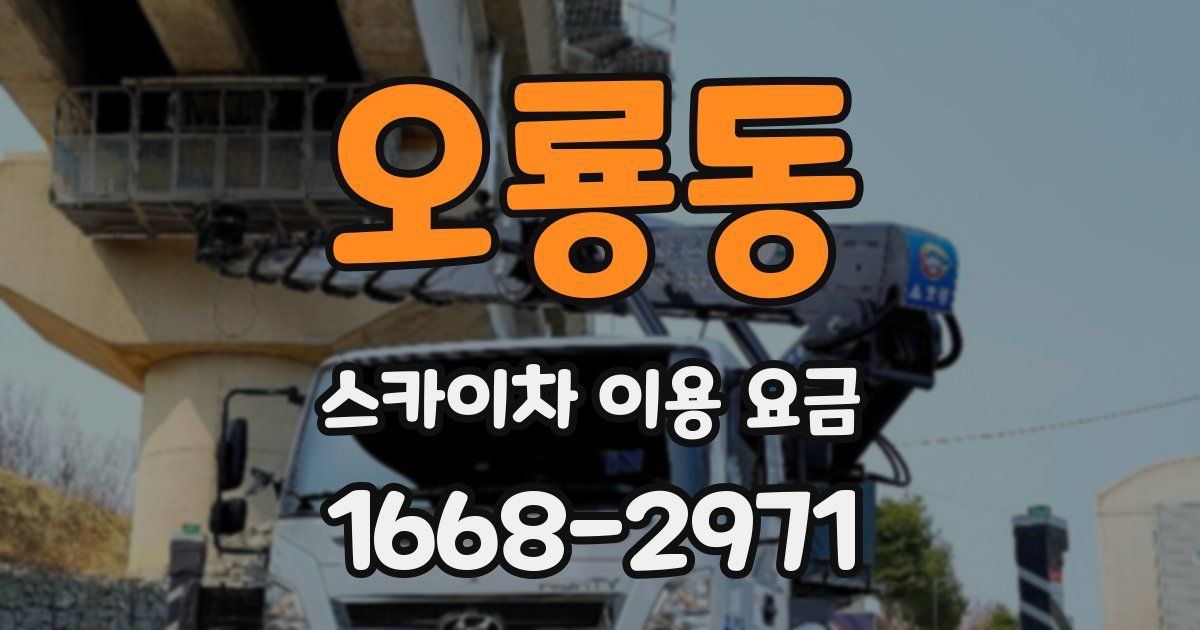 오룡동 스카이차 이용 요금