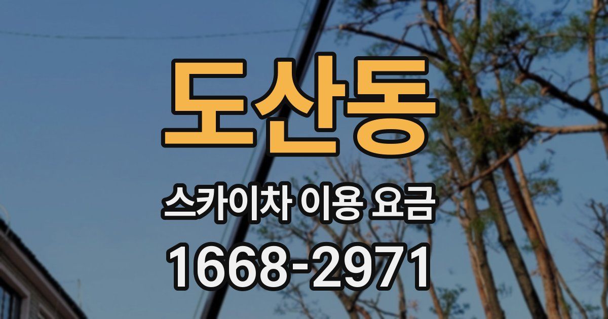 도산동 스카이차 이용 요금