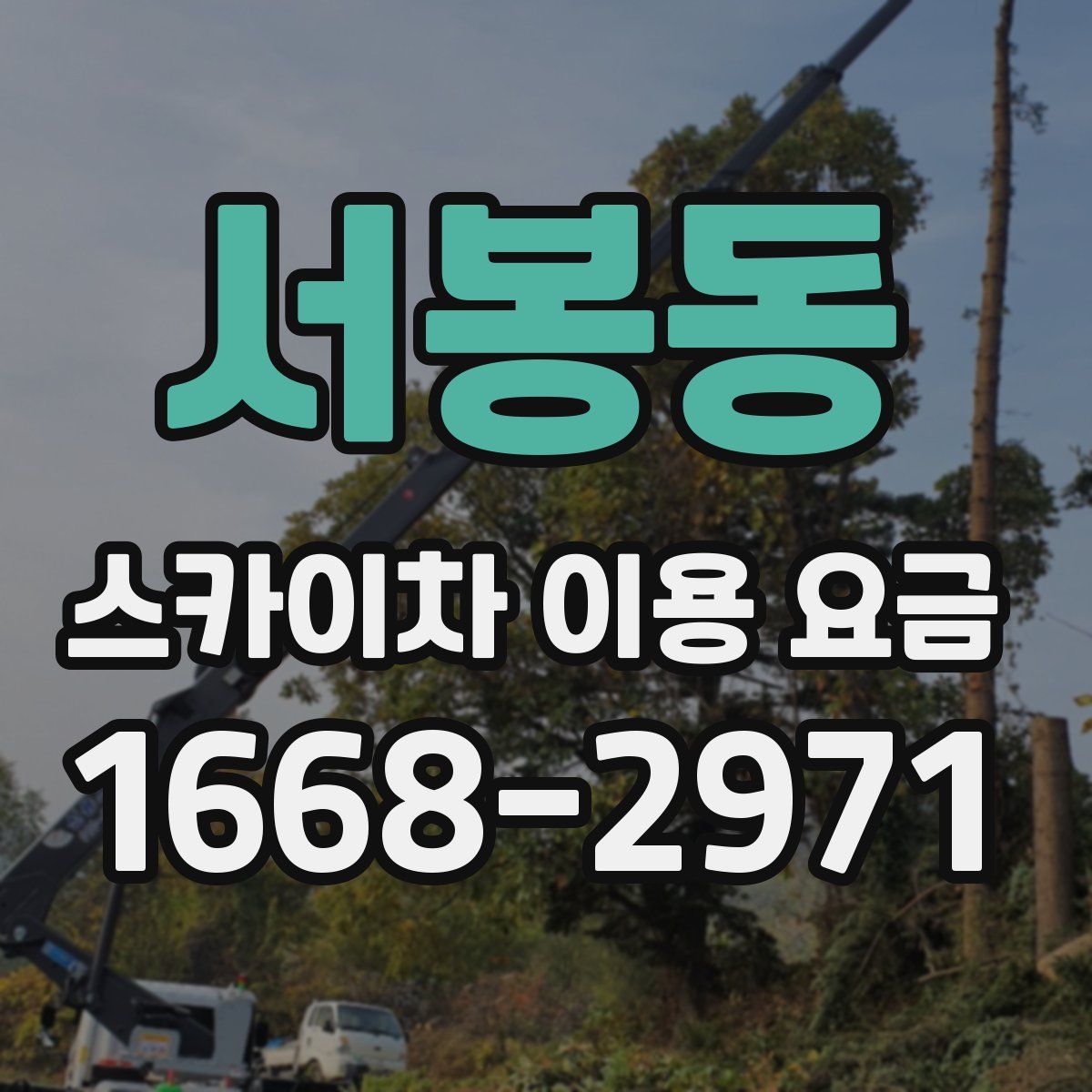 서봉동 스카이차 이용 요금