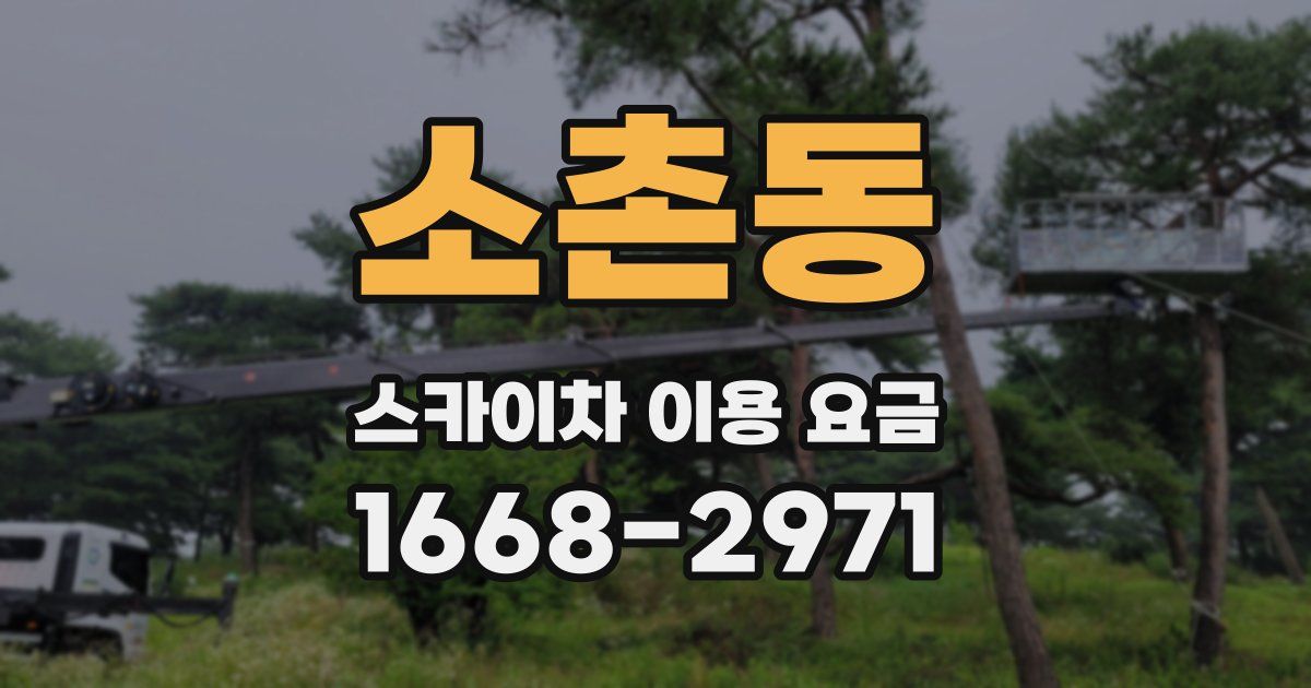 소촌동 스카이차 이용 요금