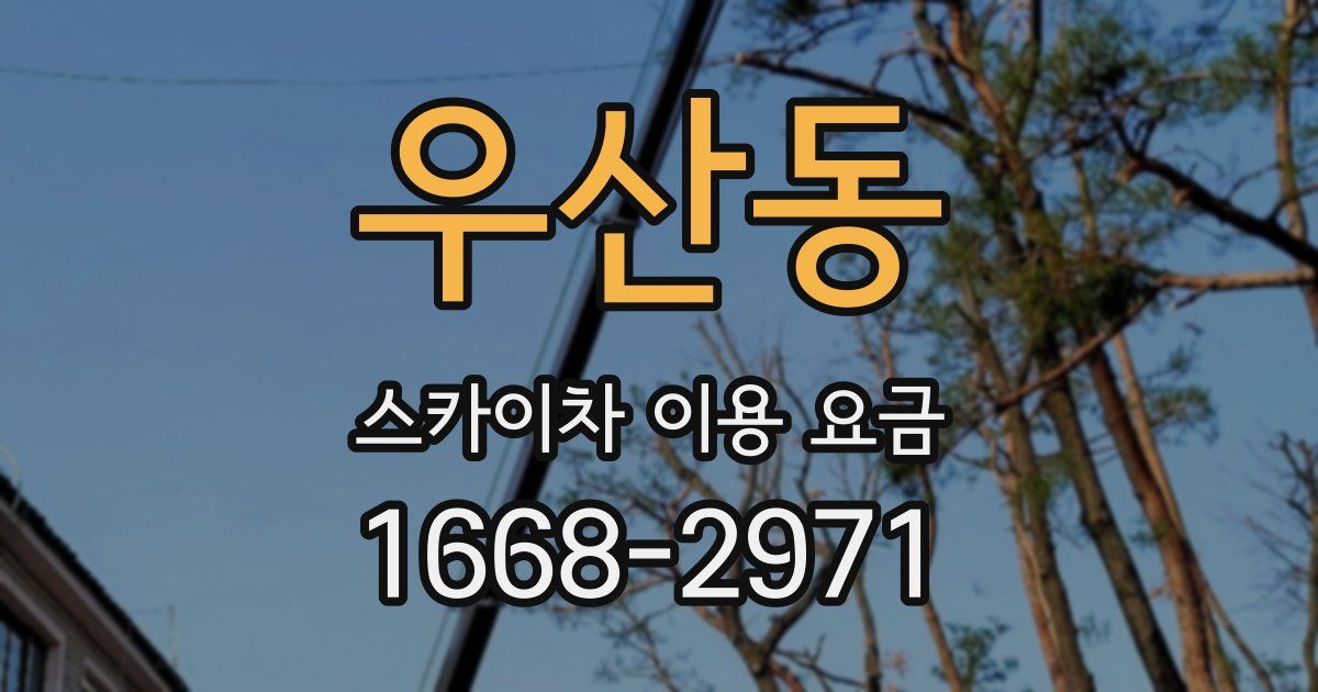 우산동 스카이차 이용 요금