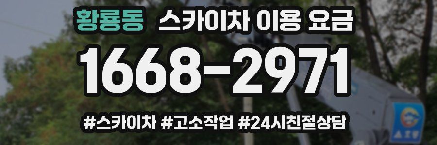 황룡동 스카이차 이용 요금