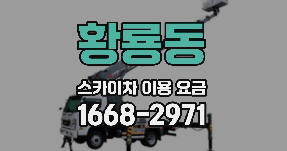 황룡동 스카이차 이용 요금