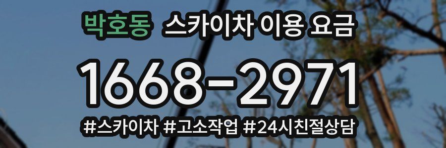 박호동 스카이차 이용 요금