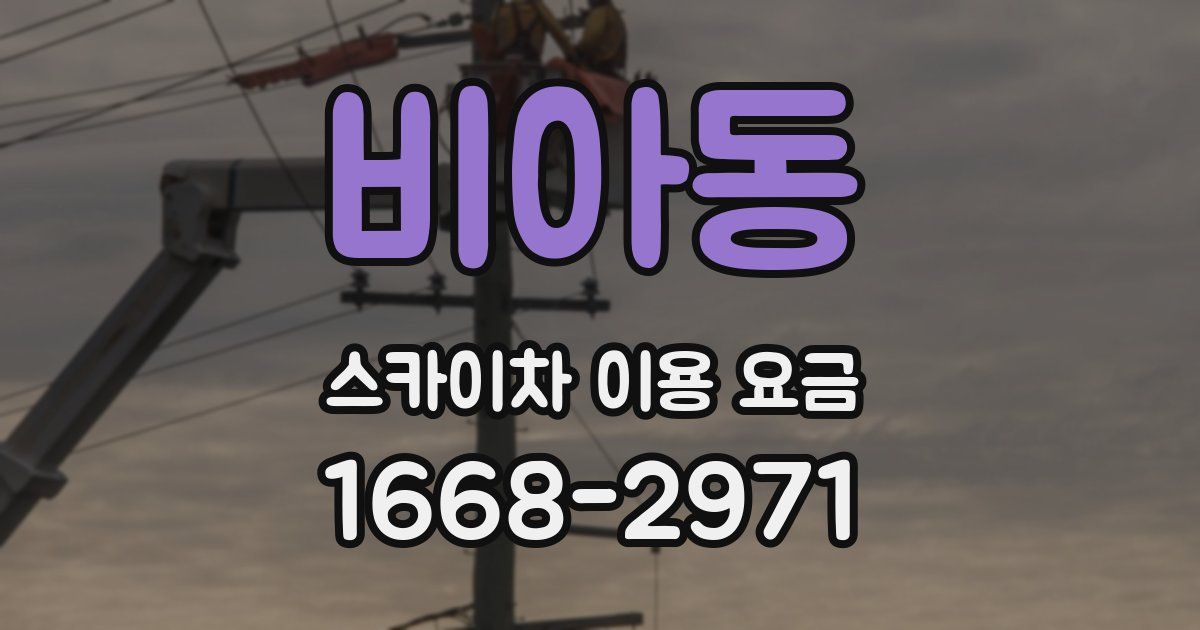 비아동 스카이차 이용 요금