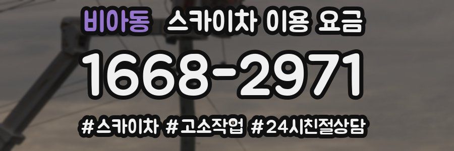 비아동 스카이차 이용 요금