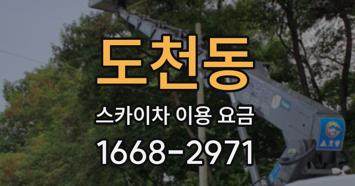 도천동 스카이차 이용 요금