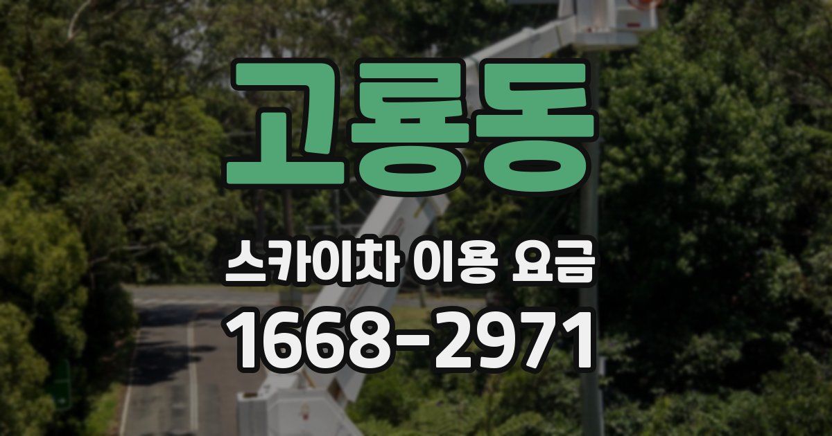 고룡동 스카이차 이용 요금