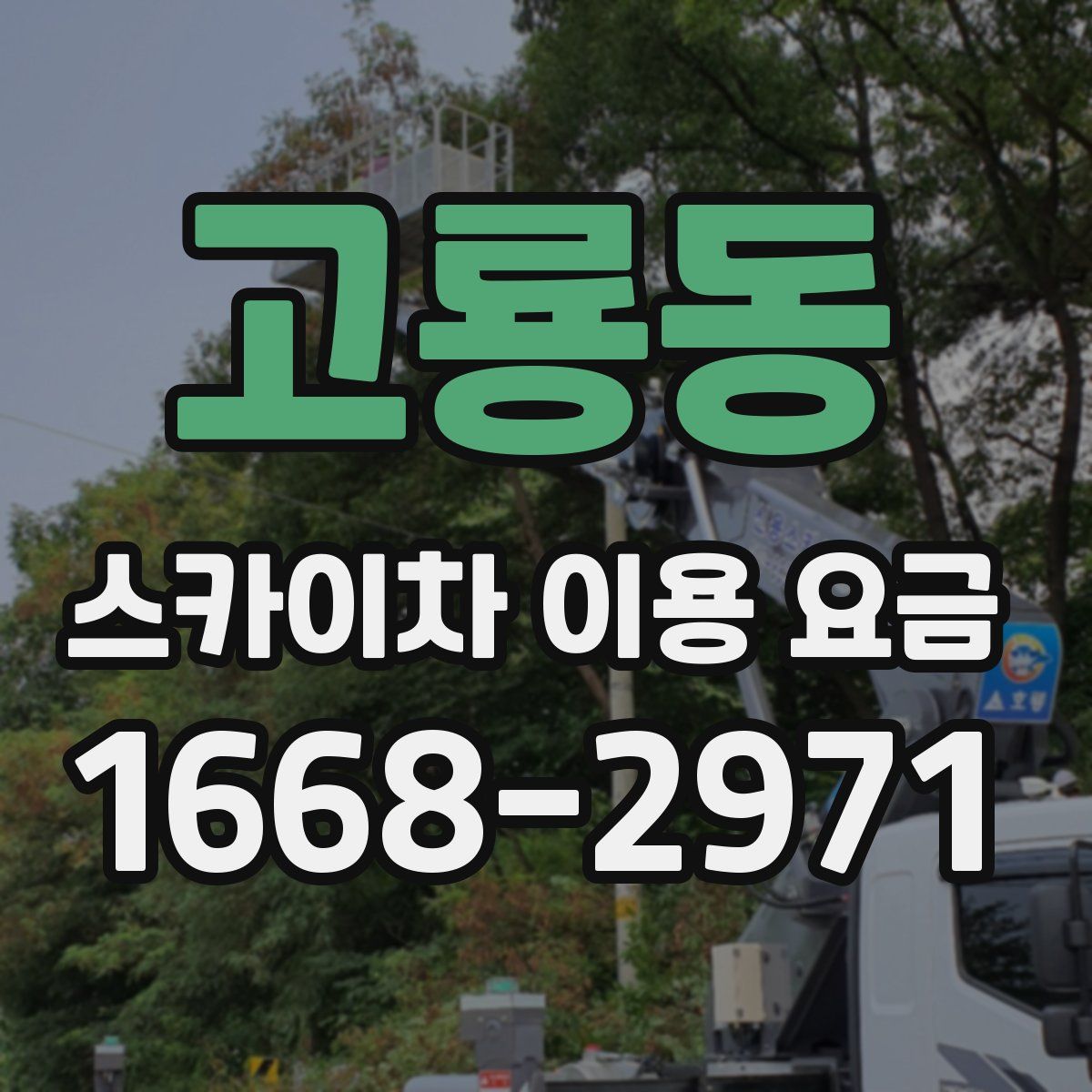 고룡동 스카이차 이용 요금