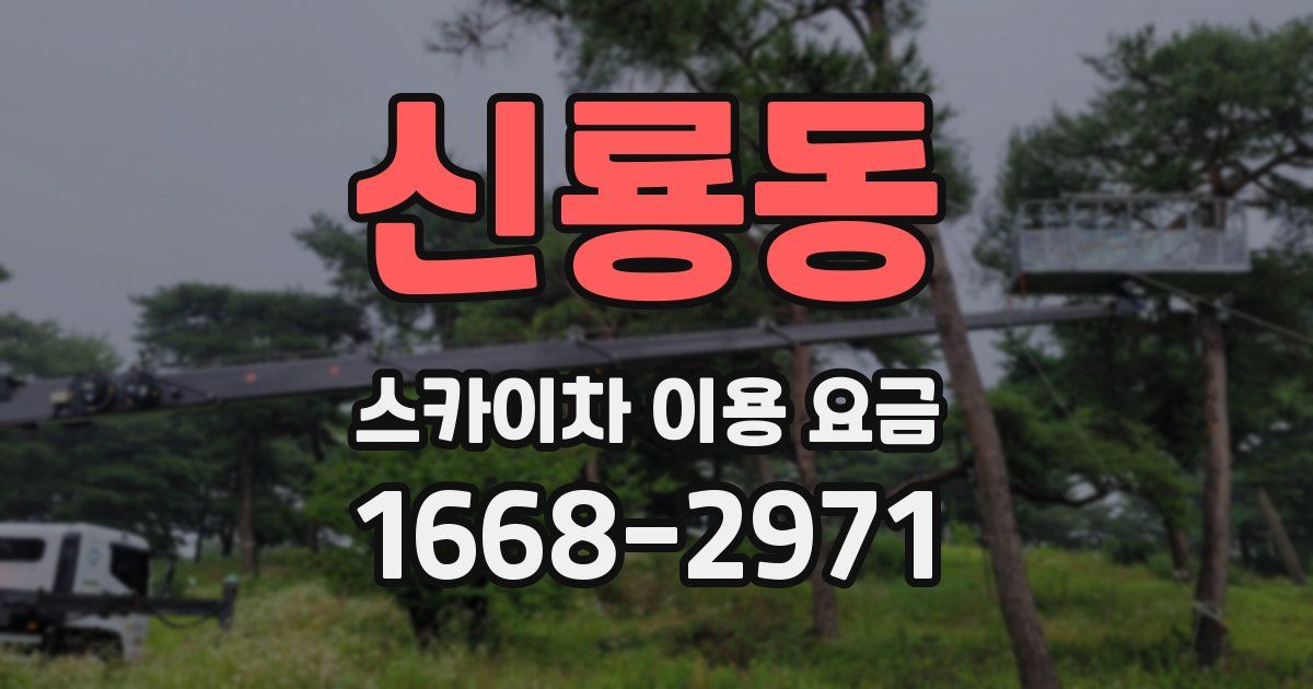 신룡동 스카이차 이용 요금