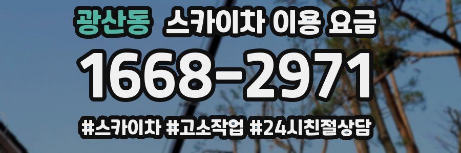 광산동 스카이차 이용 요금