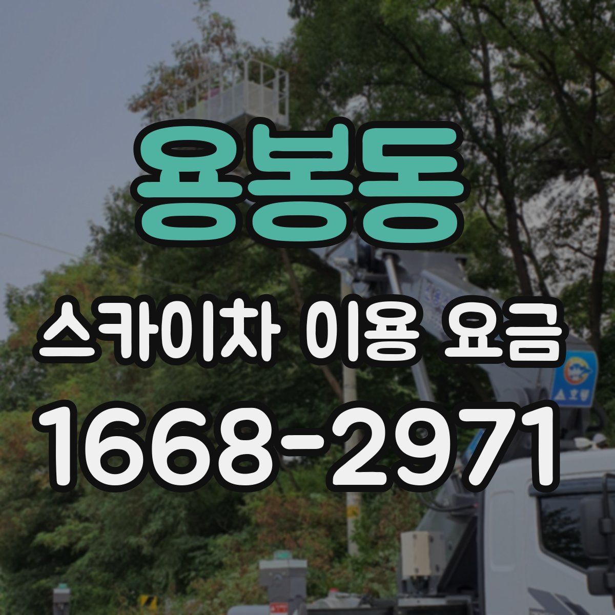 용봉동 스카이차 이용 요금