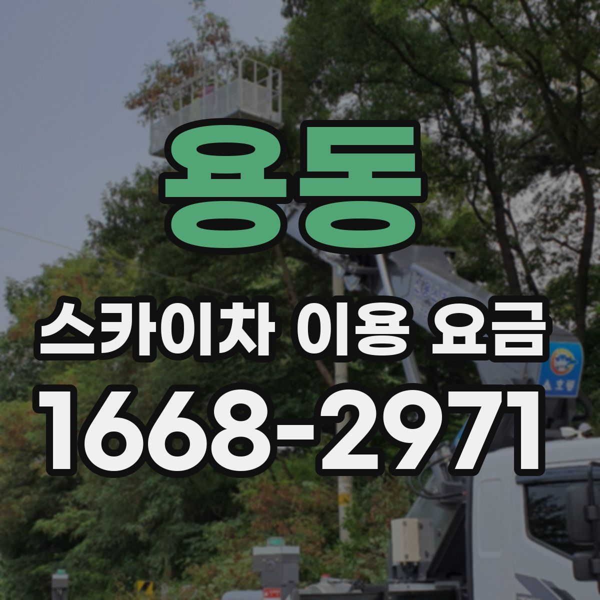 용동 스카이차 이용 요금