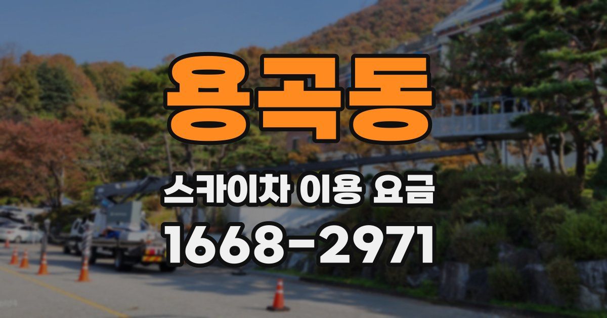 용곡동 스카이차 이용 요금