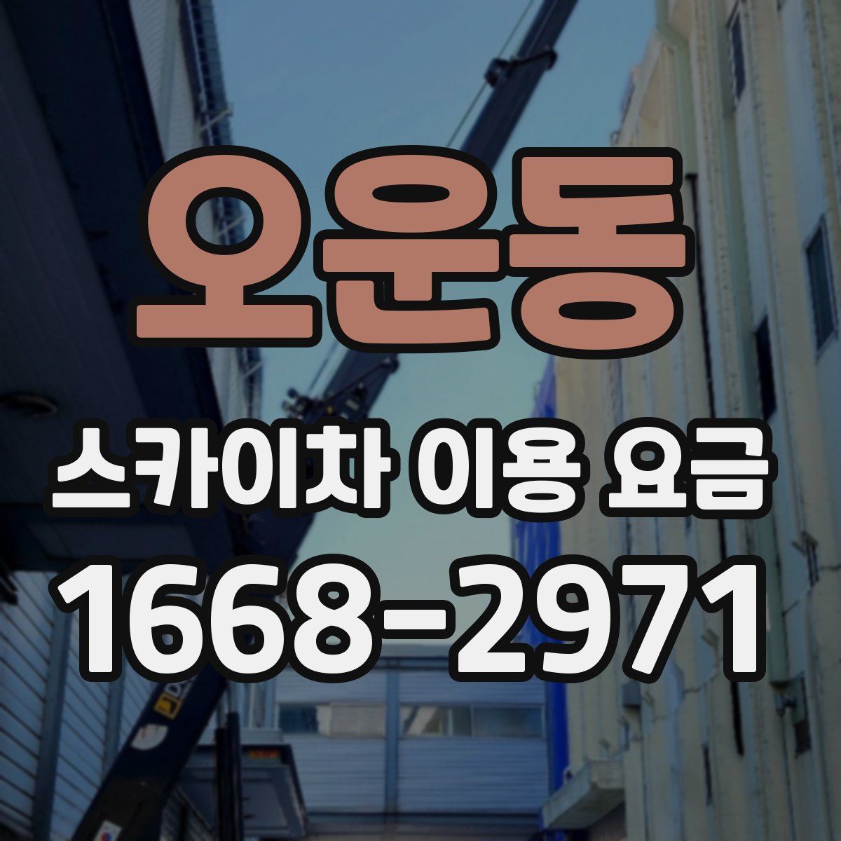 오운동 스카이차 이용 요금