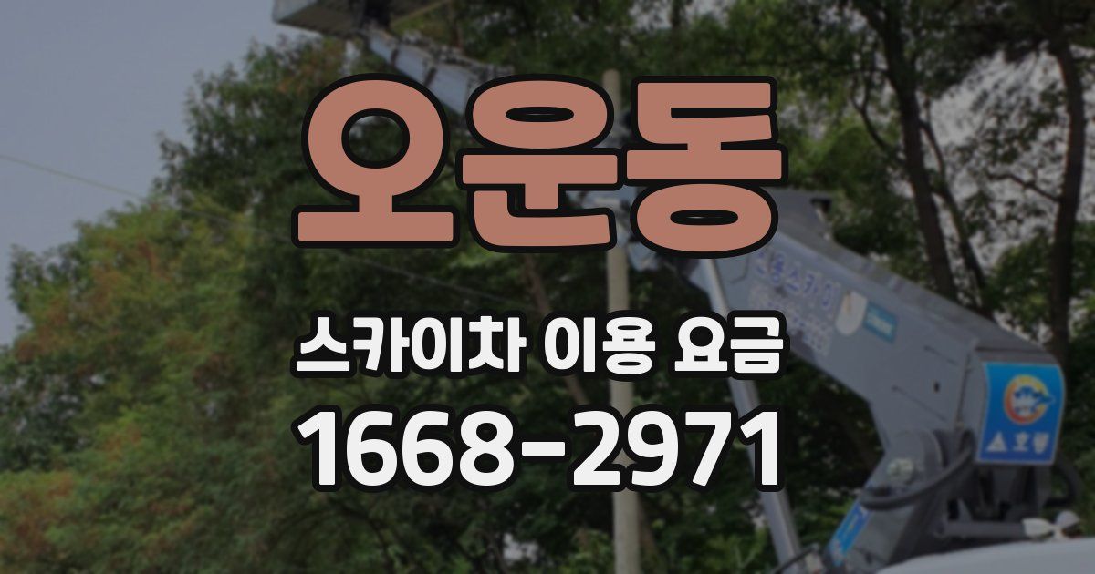 오운동 스카이차 이용 요금