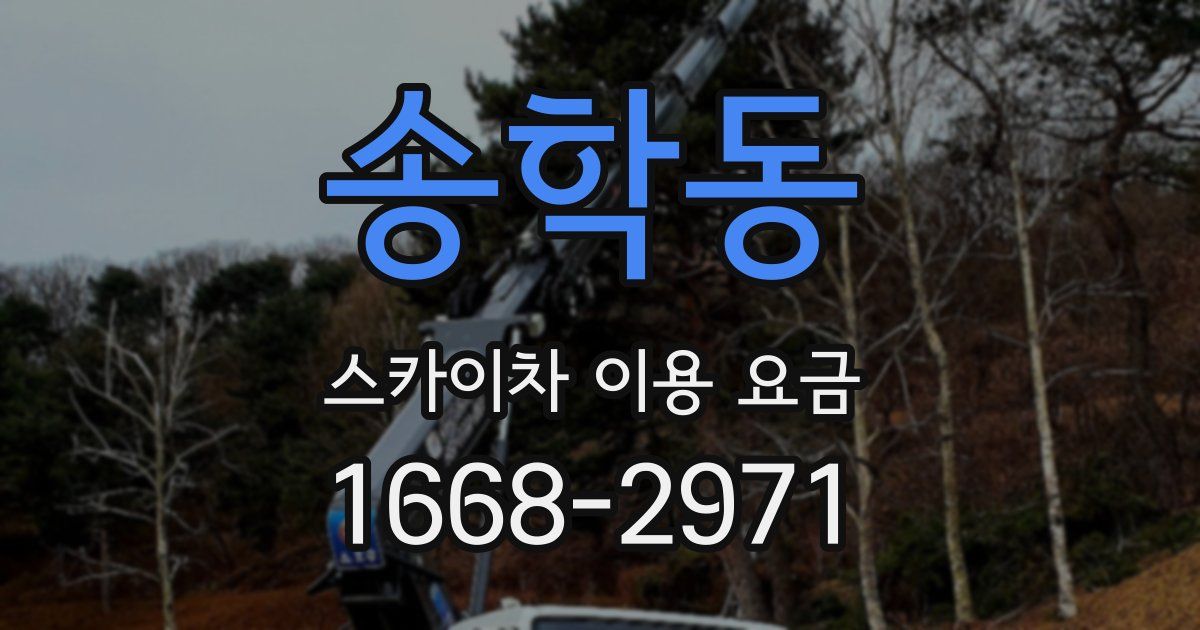 송학동 스카이차 이용 요금