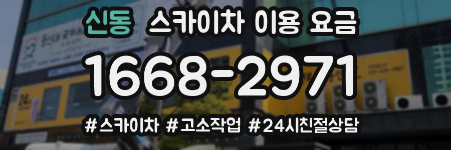 신동 스카이차 이용 요금