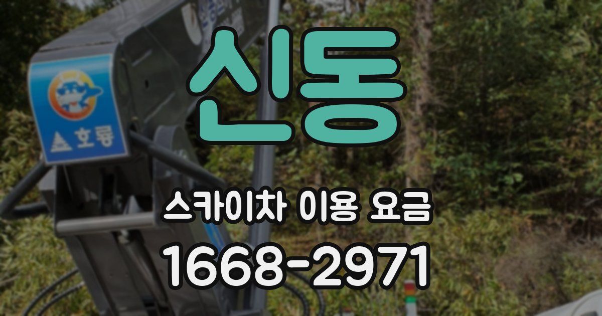 신동 스카이차 이용 요금