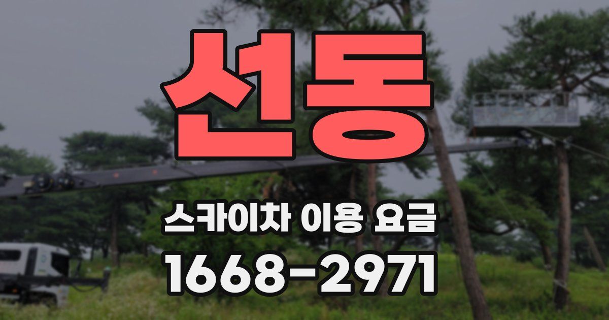 선동 스카이차 이용 요금