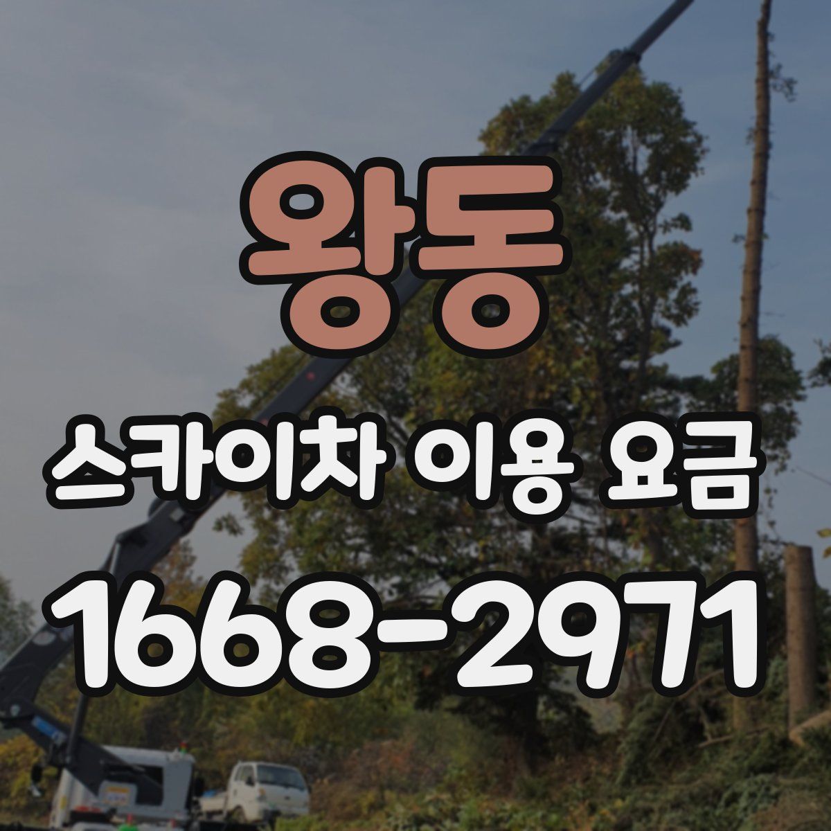 왕동 스카이차 이용 요금
