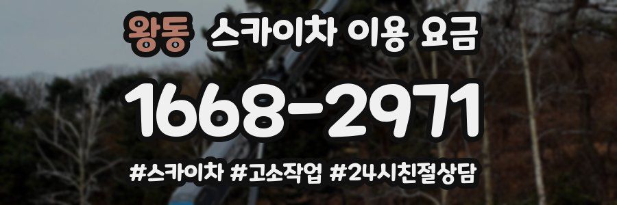 왕동 스카이차 이용 요금