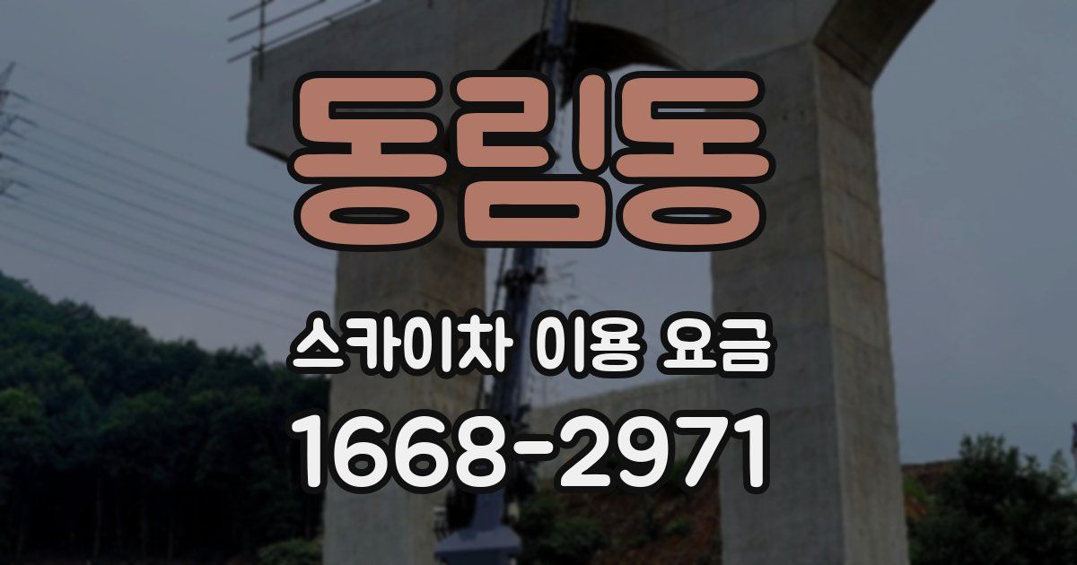 동림동 스카이차 이용 요금
