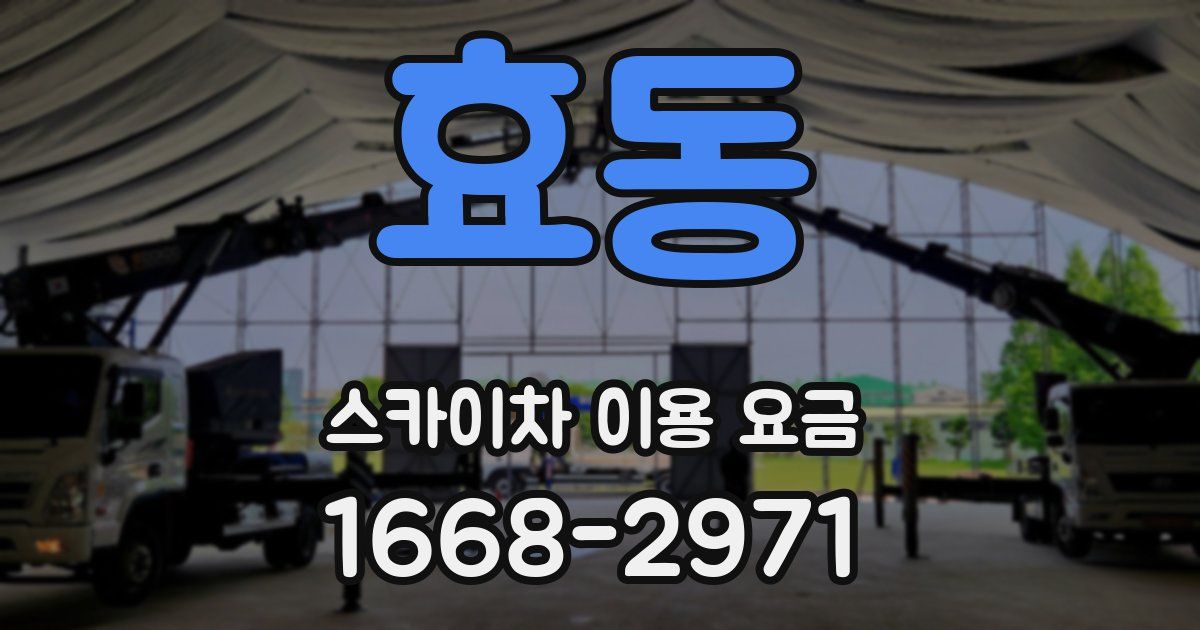 효동 스카이차 이용 요금