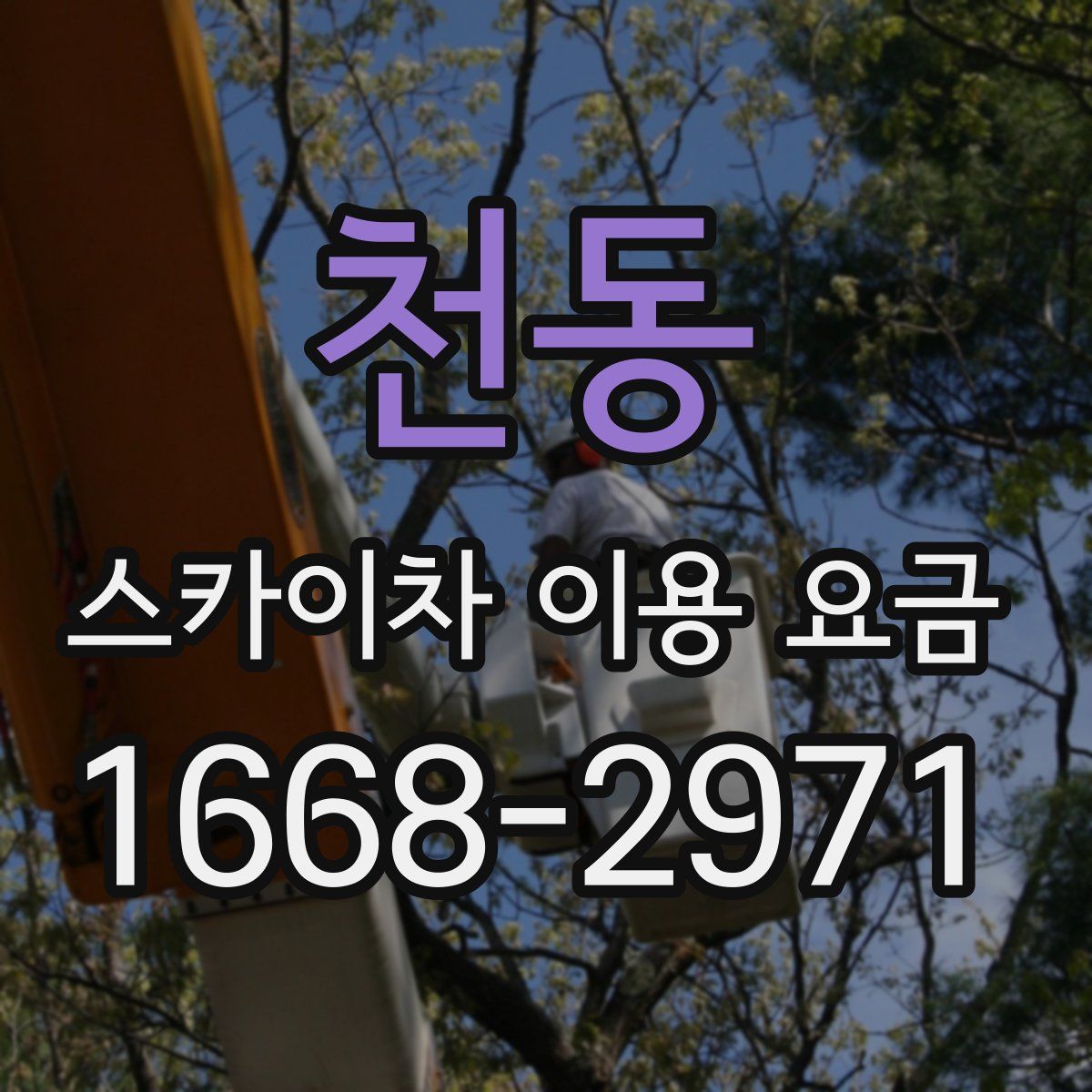천동 스카이차 이용 요금