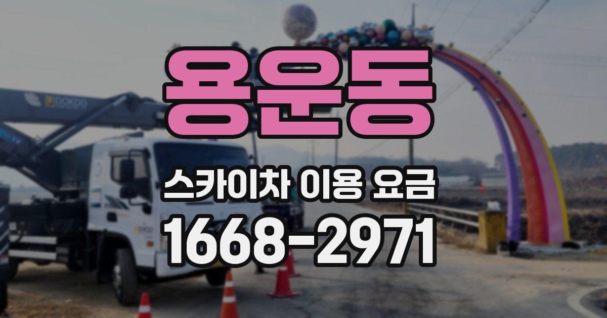 용운동 스카이차 이용 요금