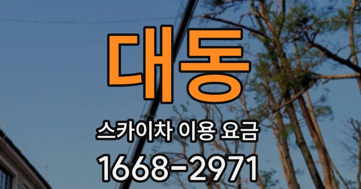 대동 스카이차 이용 요금
