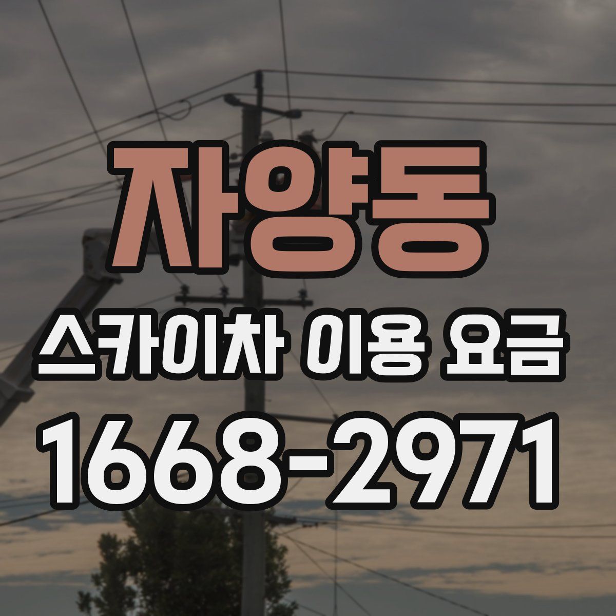 자양동 스카이차 이용 요금