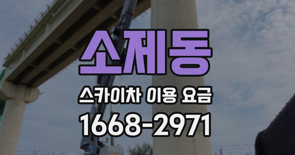 소제동 스카이차 이용 요금