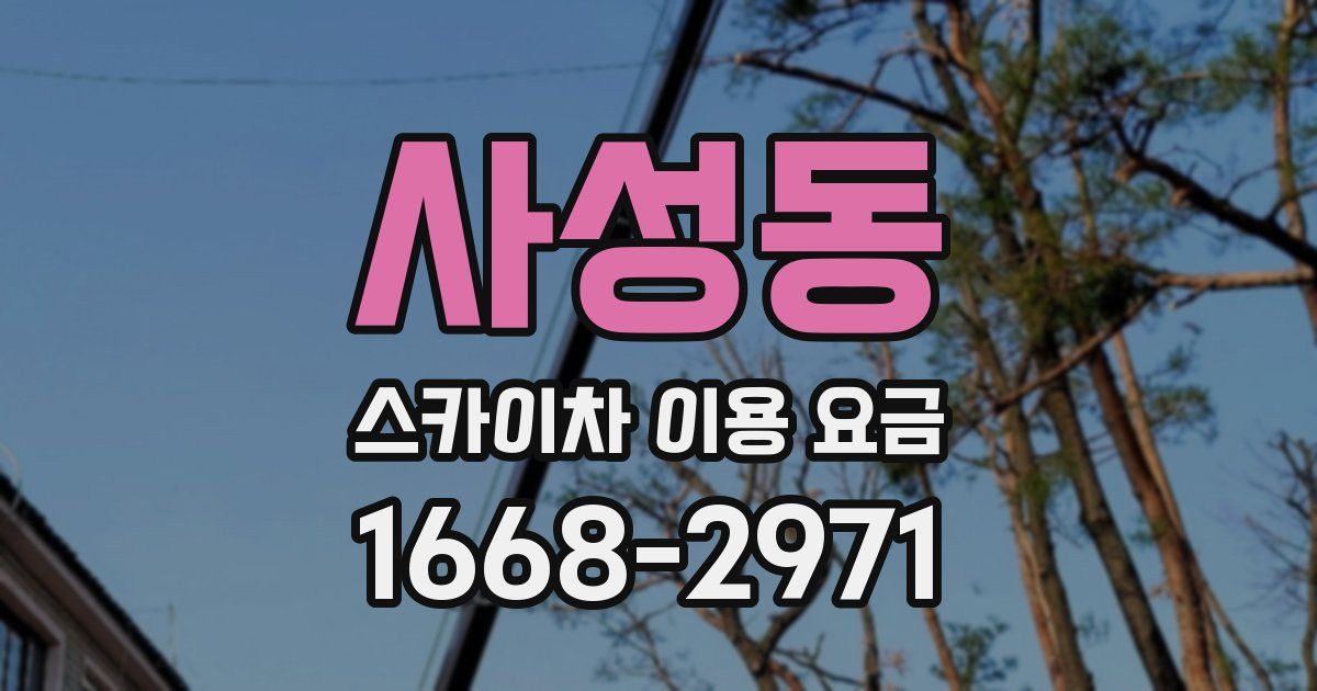 사성동 스카이차 이용 요금