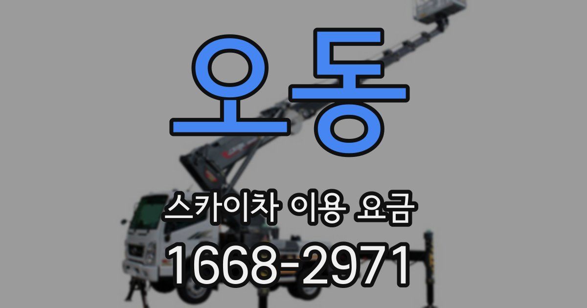 오동 스카이차 이용 요금
