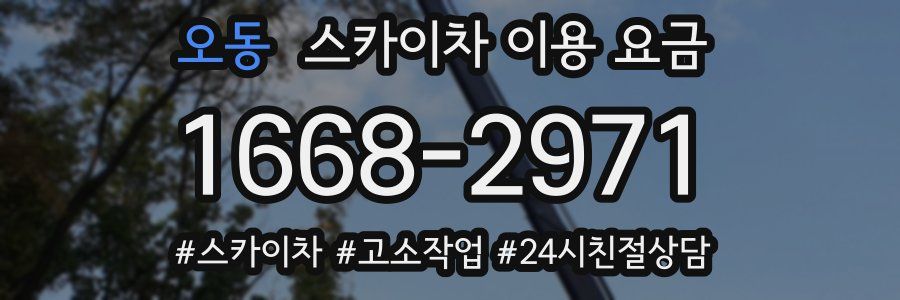 오동 스카이차 이용 요금