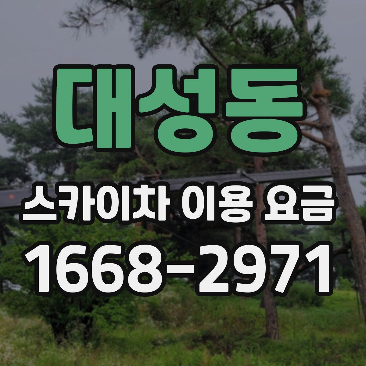 대성동 스카이차 이용 요금