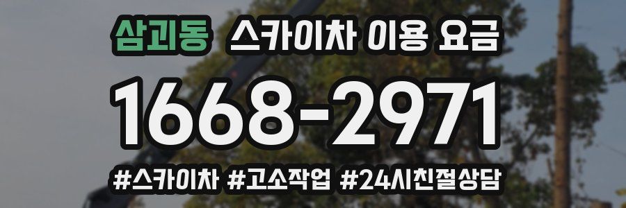 삼괴동 스카이차 이용 요금