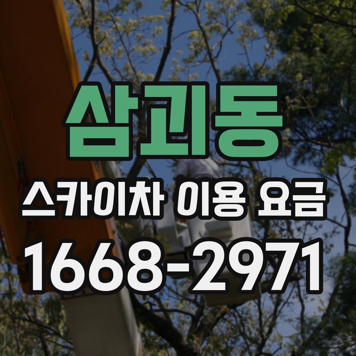 삼괴동 스카이차 이용 요금