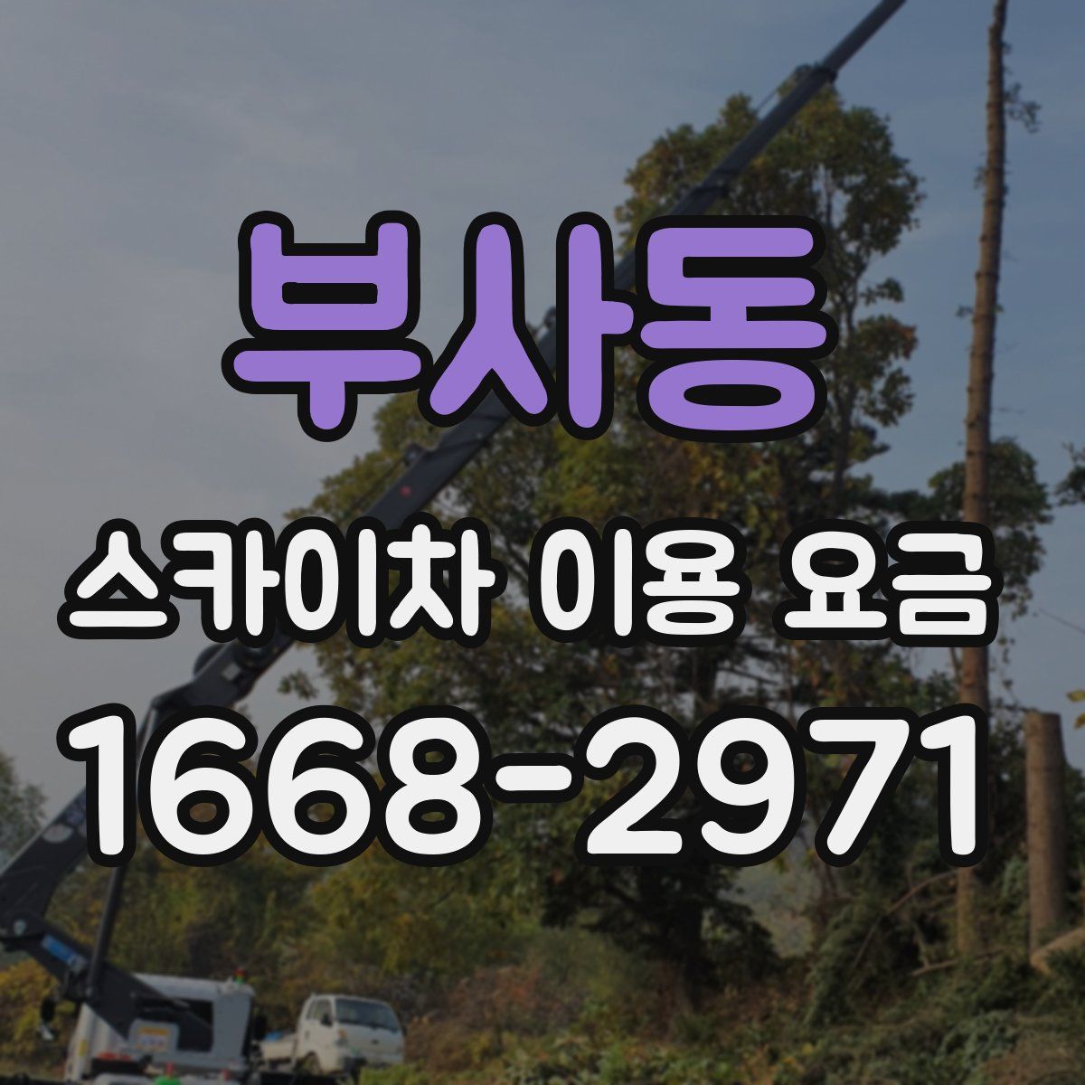 부사동 스카이차 이용 요금