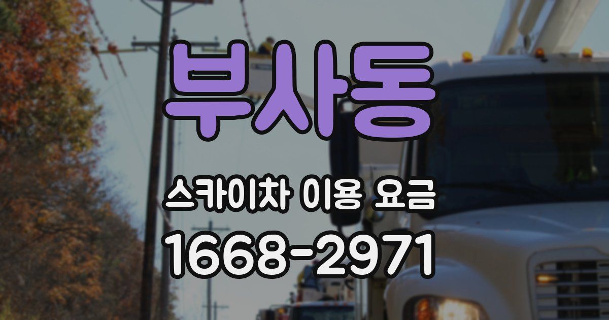 부사동 스카이차 이용 요금