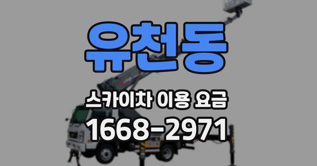 유천동 스카이차 이용 요금