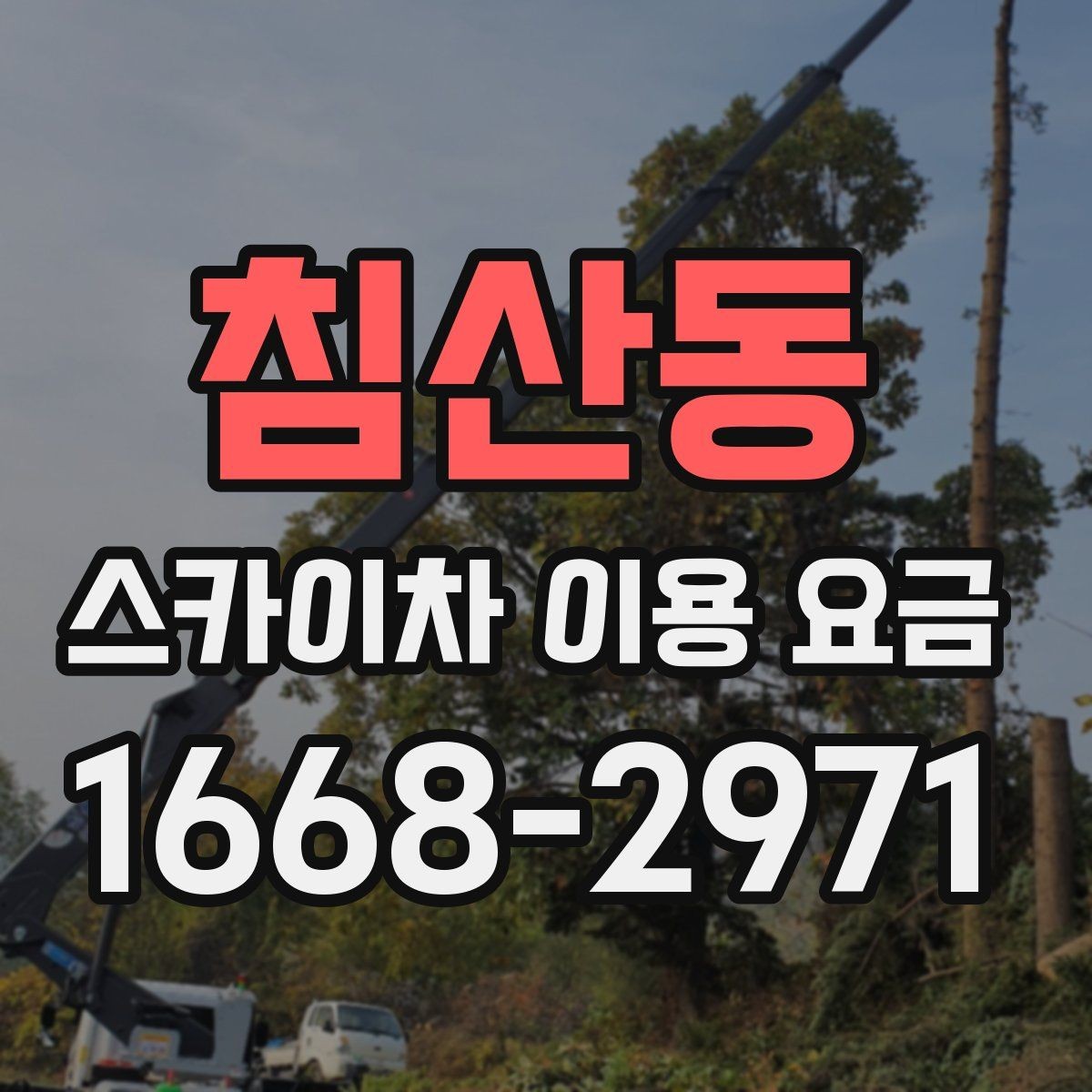 침산동 스카이차 이용 요금 비교 시 계약 전 확인할 내용