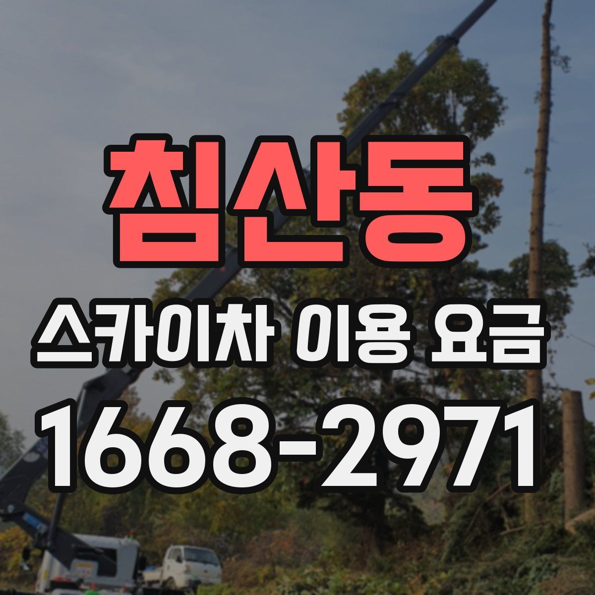침산동 스카이차 이용 요금