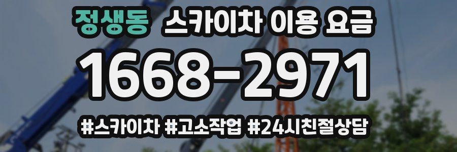정생동 스카이차 이용 요금